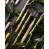 THE HUMBLE CO. Humble Brush Bamboo Οδοντόβουρτσα Μέτρια Ενηλίκων Μωβ, 1 τεμάχιο THE HUMBLE CO. Humble Brush Bamboo Οδοντόβουρτσα Μέτρια Ενηλίκων Μωβ, 1 τεμάχιο