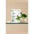 THE HUMBLE CO. Natural Toothpaste Tablets Fresh Mint Φυσική Οδοντόκρεμα σε Ταμπλέτα με Φθόριο & γεύση Μέντα, 60ταμπλέτες THE HUMBLE CO. Natural Toothpaste Tablets Fresh Mint Φυσική Οδοντόκρεμα σε Ταμπλέτα με Φθόριο & γεύση Μέντα, 60ταμπλέτες
