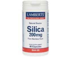 Lamberts Silica Συμπλήρωμα Διατροφής με Φυτικό Πυρίτιο 200mg, 90 κάψουλες Lamberts Silica Συμπλήρωμα Διατροφής με Φυτικό Πυρίτιο 200mg, 90 κάψουλες