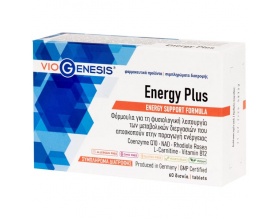 VioGenesis Energy Plus Συμπλήρωμα Διατροφής για τη Φυσιολογική Λειτουργία των Μεταβολικών Διεργασιών που Αποσκοπούν στην Παραγωγή Ενέργειας, 60 δισκία VioGenesis Energy Plus Συμπλήρωμα Διατροφής για τη Φυσιολογική Λειτουργία των Μεταβολικών Διεργασιών που Αποσκοπούν στην Παραγωγή Ενέργειας, 60 δισκία