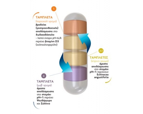 FREZYDERM IMMUNO Συμπλήρωμα Διατροφής για το Ανοσοποιητικό, 30 κάψουλες