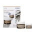 Korres Black Pine Σύσφιξη & Lifting Κρέμα Ημέρας + ΔΩΡΕΑΝ Black Pine Σύσφιξη & Lifting Κρέμα Νύχτας 15ml Korres Black Pine Σύσφιξη & Lifting Κρέμα Ημέρας + ΔΩΡΕΑΝ Black Pine Σύσφιξη & Lifting Κρέμα Νύχτας 15ml
