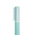 PIUMA Toothbrush Echinacea Soft Aqua Green Μαλακή Οδοντόβουρτσα με Εχινάκεια σε Γαλαζοπράσινη Απόχρωση
