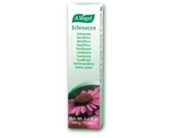 A. Vogel, ECHINACEA Toothpaste,  Φυτική οδοντόπαστα από φρέσκα εχινάκια, 100gr A. Vogel, ECHINACEA Toothpaste,  Φυτική οδοντόπαστα από φρέσκα εχινάκια, 100gr